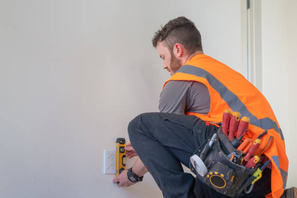 Best Electrical Wiring Services  in Roosevelt Park, MI