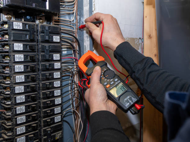Best Electrical Rewiring Services  in Roosevelt Park, MI